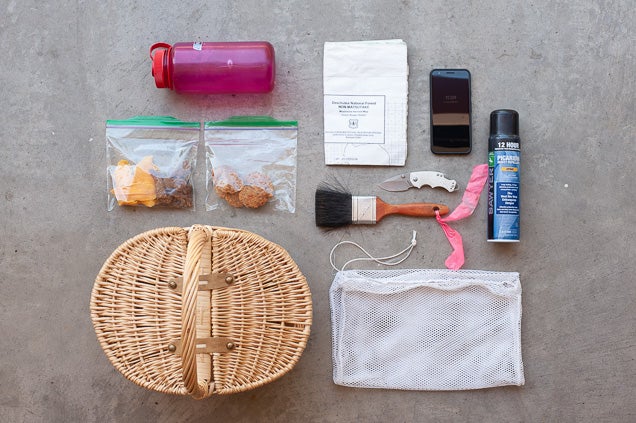 Essential equipment for mushroom foraging