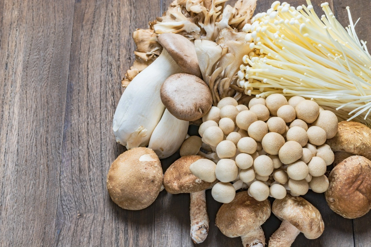 Diagram showing key identification features of mushrooms